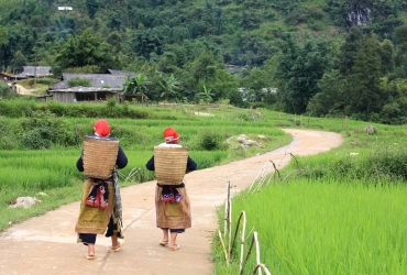 Lao Cai - Bac Ha: Mercato etnico - Sapa (B)