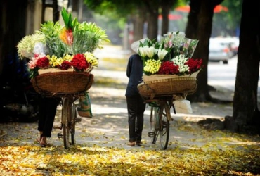 Arrivo ad Hanoi (senza pasti)