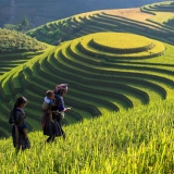 Trekking il Parco Nazionale Hoang Lien Son in 5 giorni