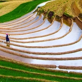 Trekking il Parco Nazionale Hoang Lien Son in 5 giorni