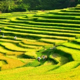 Trekking da Hanoi alla valle di Muong Hoa in 5 giorni