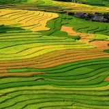 Trekking da Hanoi alla valle di Muong Hoa in 5 giorni