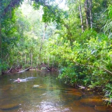 Siem Reap: trekking 3 giorni - Esplorazione dei templi di Angkor