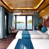 Crociera Oasis Bay
