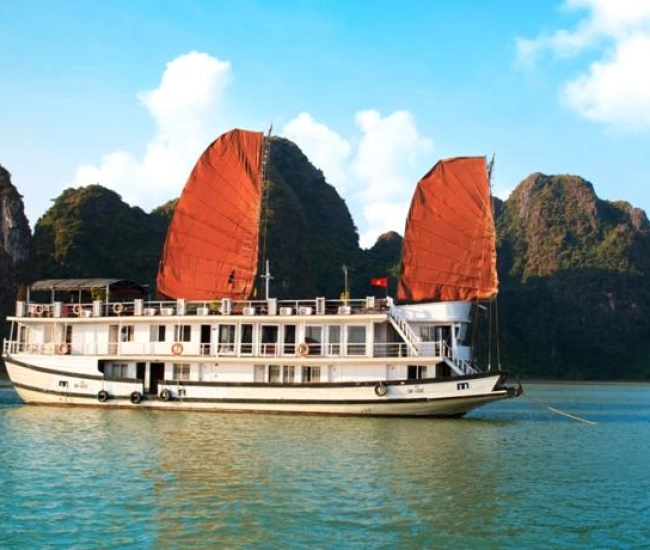 Croisière Apricot