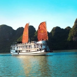 Croisière Apricot