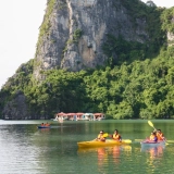 Croisière Apricot