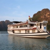 Croisière Apricot
