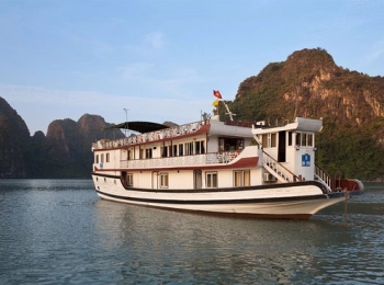 Croisière Apricot