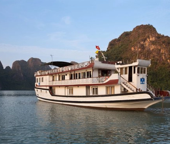 Croisière Apricot
