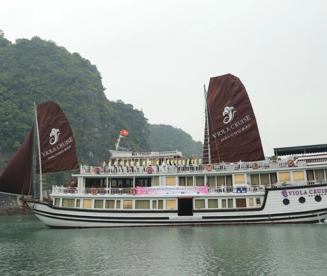 Croisière Viola