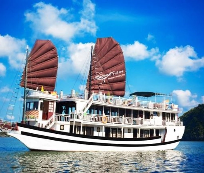 Croisière Swan