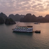 Croisière Paloma