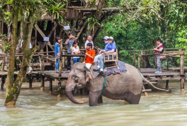 Luang Prabang - Esperienza Mahout (B, L, D)