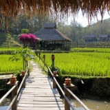L'incantevole fascino del Laos