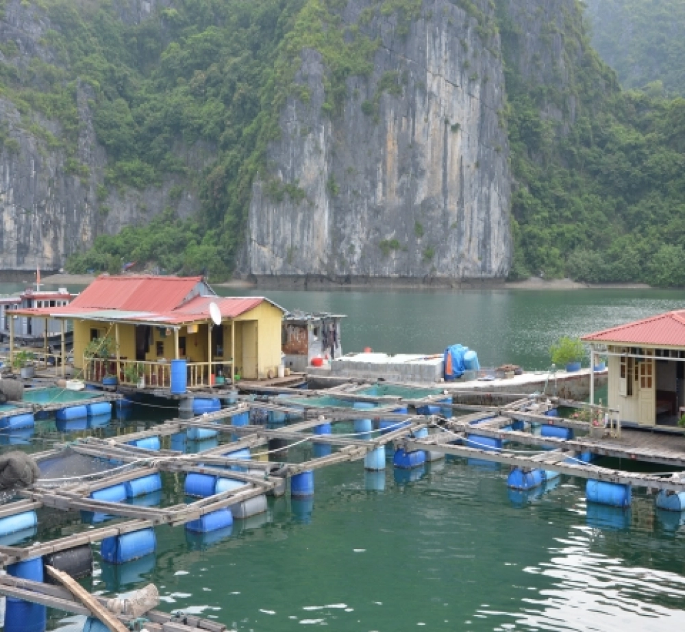 Baie d’Ha Long - Baie de Bai Tu Long – Village Vung Vieng (B, L, D)