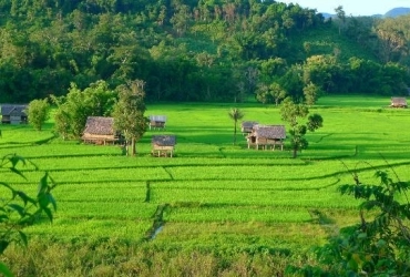 Muang La - Esperienza etnica (B, L, D)