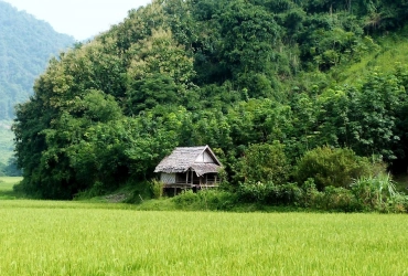 Muang La (B, L, D)