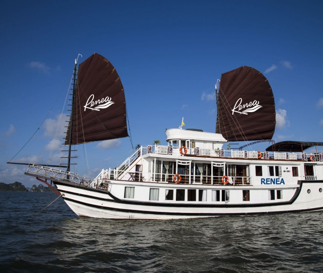 Croisière Renea