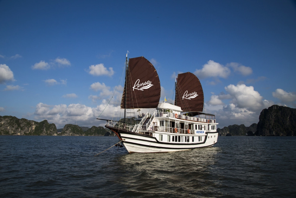 HON GAI - BAI TU LONG BAY - CONG DO - ILE DE CAP LA -TRA SAN (L, D)