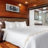 Croisière V'Spirit Premier 