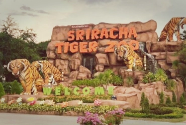 Tour di mezza giornata dello Sriracha Tiger Zoo e spettacolo dell'Alcazar