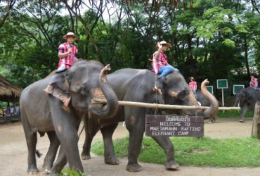 Chiang Mai - Santuario degli elefanti nella giungla - Villaggio di Long Neck Karen - Chiang Mai (B,L) Join con staff parlante inglese al campo degli elefanti