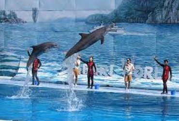 Safari World (B)