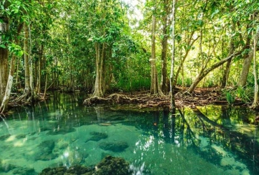 Sai Gon - Escursione nella foresta di Can Gio in barca (B, L)
