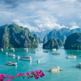 Tour baia di Ha Long 1 giorno: Ammira le meraviglie del mondo