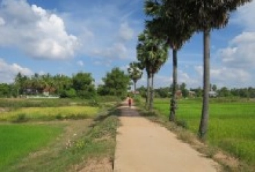 Phnom Penh - Kampong Cham - Kratie - Koh Trong (B, L)
