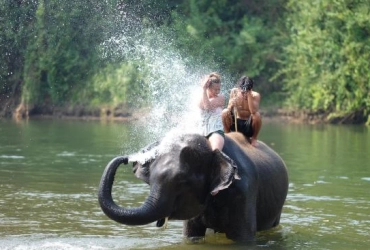 Bangkok - Parco storica di Ayutthaya - Volo per Chiang Rai (B)