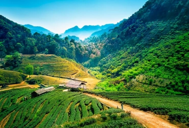 Chiang Rai visita in mezza giornata - Chiang Mai (B)