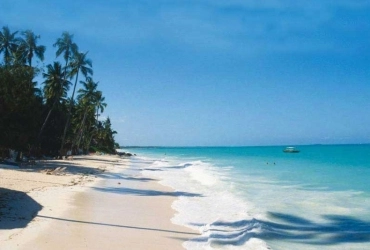 Giornata libera e tranquilla a Ngappali Beach (B)