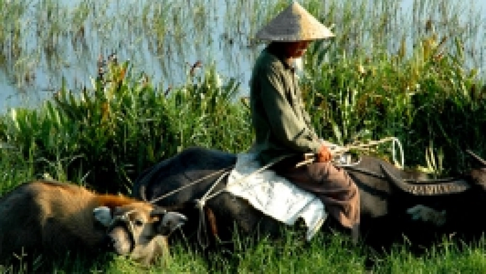 Phnom Penh - Kampong Tralach (B, L, D)