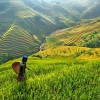 Migliori luoghi da visitare in Vietnam del Nord: Top luoghi più belli