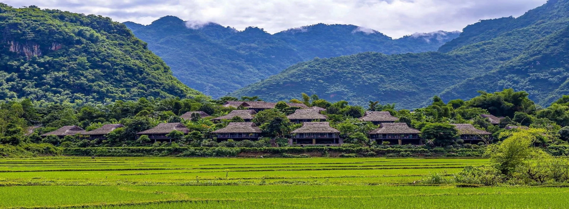 Hoa Binh