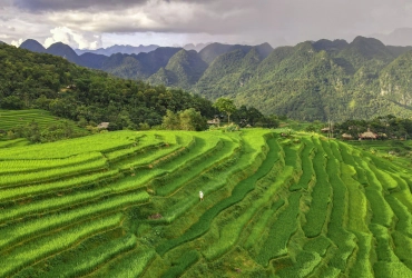 Hanoi - Pu Luong (L,D)
