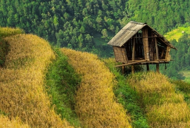 Mu Cang Chai - Tu Le - Hanoi (B/L)