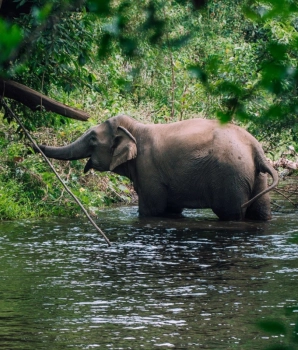 Immergetevi nel lago Lak e Buon Ma Thuot in un giorno