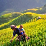 Un'avventura di 5 giorni a Sa Pa e Mu Cang Chai