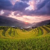 Un'avventura di 5 giorni a Sa Pa e Mu Cang Chai