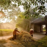 Viaggi brevi a Duong Lam - Scoperta di villaggio a Duong Lam