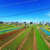 Una giornata in bicicletta attraverso il paesaggio di Hoi An