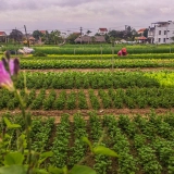 Una giornata in bicicletta attraverso il paesaggio di Hoi An