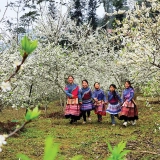 Sapa e Bac Ha: scoprite gli altopiani settentrionali in 4 giorni