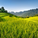 Pu Luong immersivo: 2 giorni di meraviglie naturali