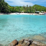 Scoprite la tranquilla bellezza dell'Isola delle Balene 3 giorni