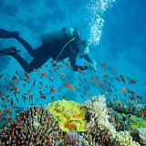 Esplorazione dei fondali marini: tour di snorkeling a Nha Trang