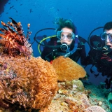 Esplorazione dei fondali marini: tour di snorkeling a Nha Trang